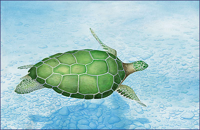 Ocean's Emerald - painting of sea turtle